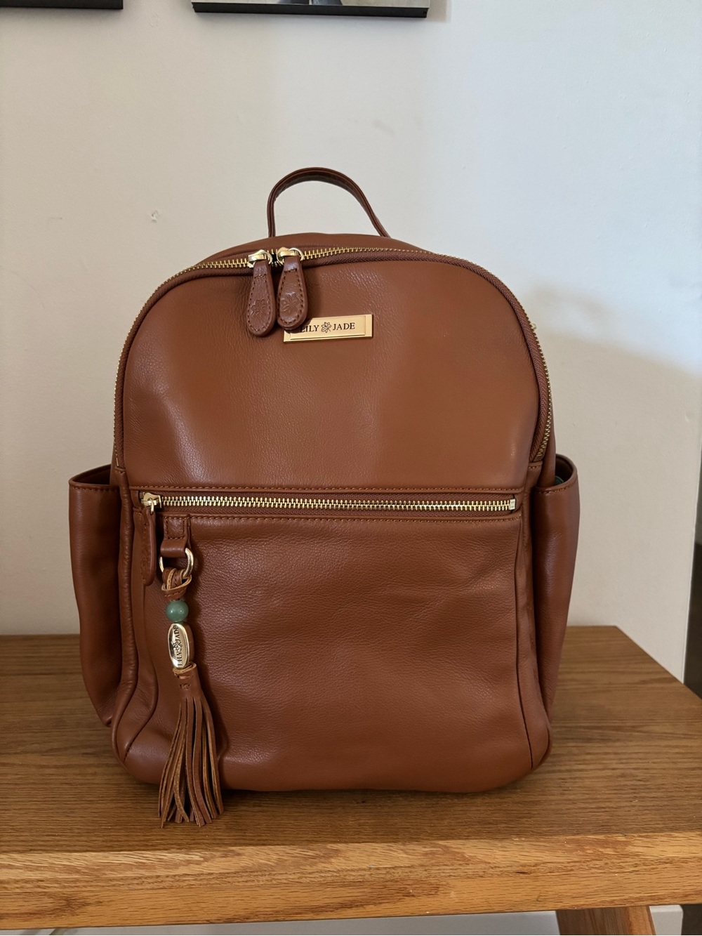 Lily Jade Medium Anna Leather Backpack Tote Bag